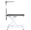 Picture of Groom-X Evolution Electric Grooming Table - Upgradable